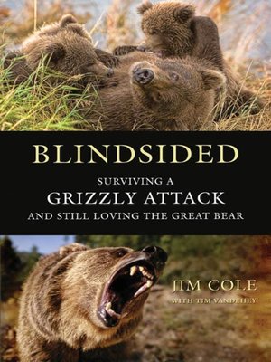 cover image of Blindsided